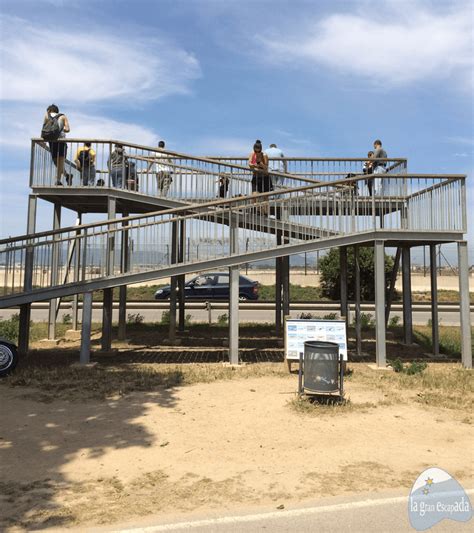 mirador del prat|El mirador de aviones del Prat